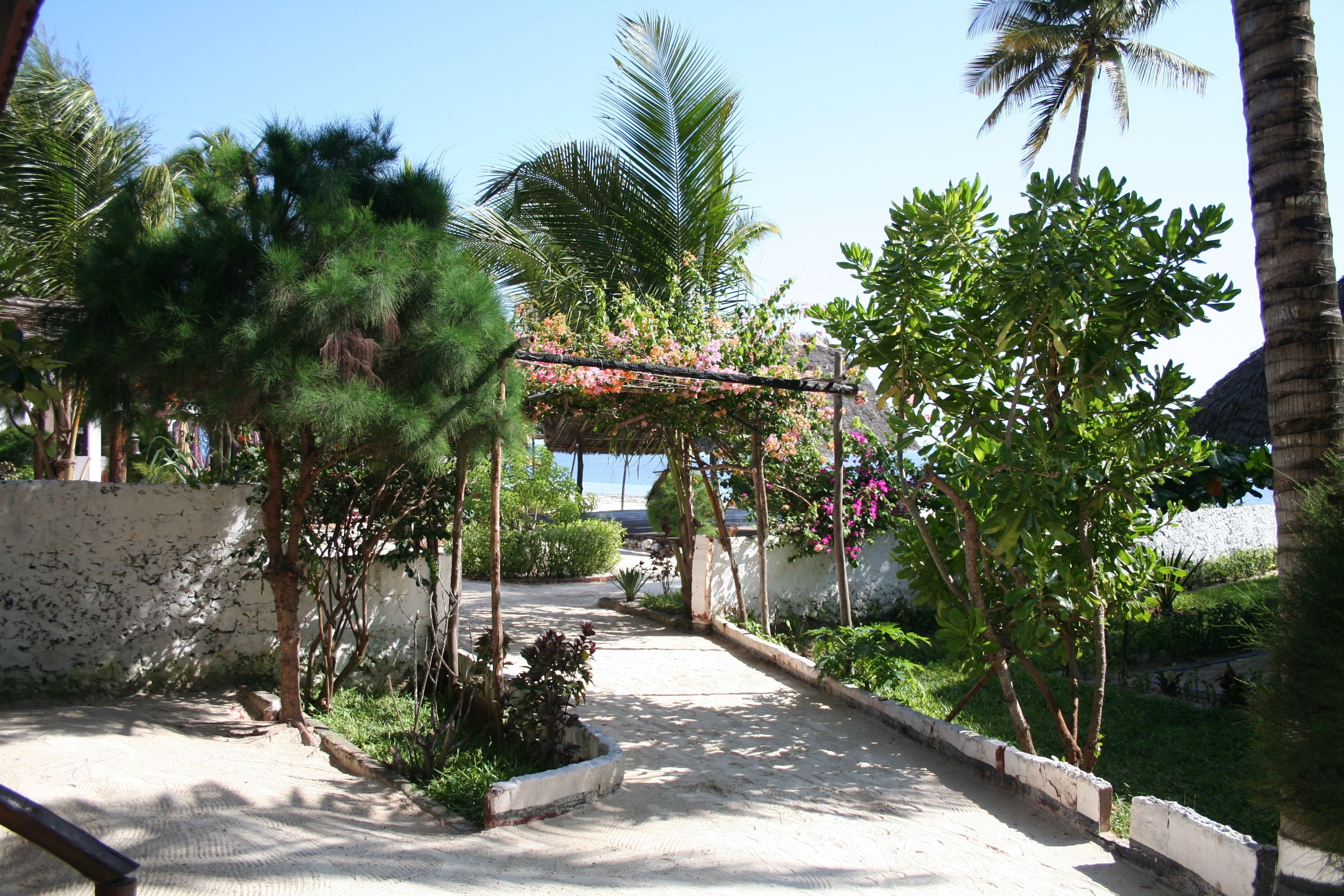 Foto - Moonshine Uroa Boutique Hotel