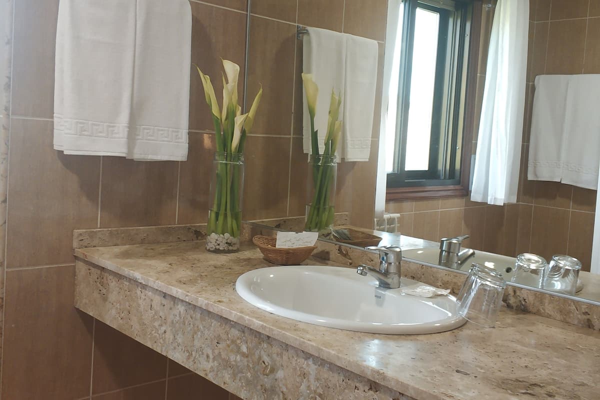 free toiletries, hair dryer, bidet, towels