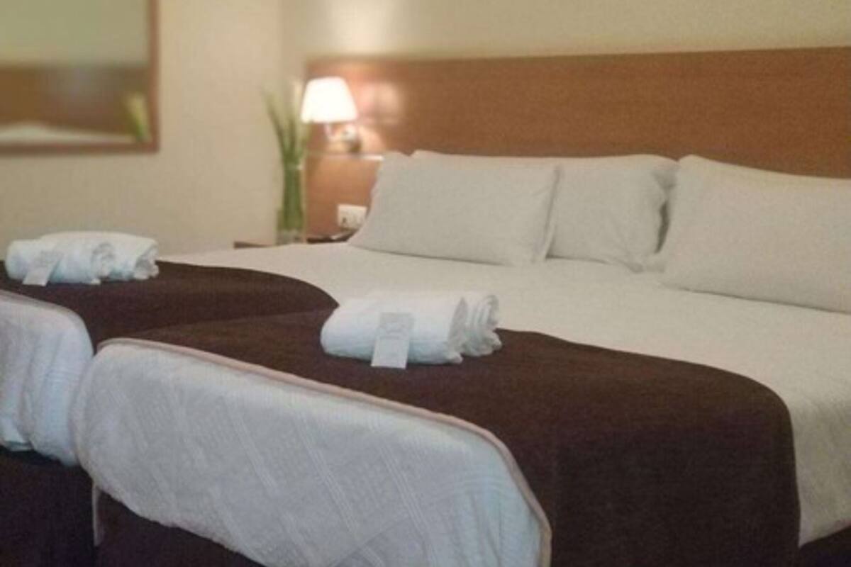 A hotel room with two beds, each with white linens and a brown headboard. There is a nightstand with a lamp and a vase with a plant.