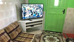 Een woonkamer met een televisie op een standaard, een ruitjesbank, een vloer met patroon en een groene deur.