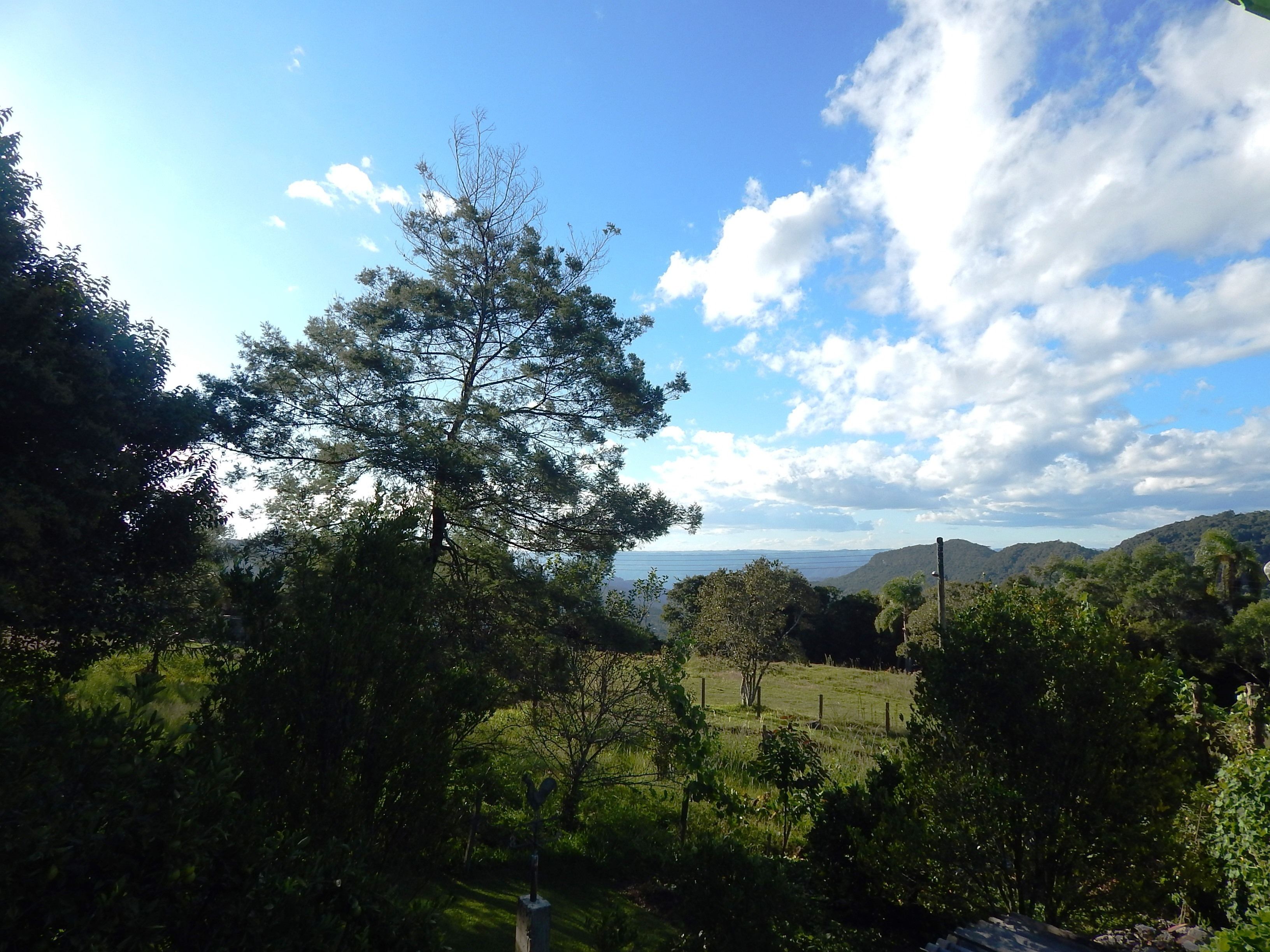 Un paisaje con un árbol destacado, un campo cubierto de hierba y colinas distantes bajo un cielo parcialmente nublado.