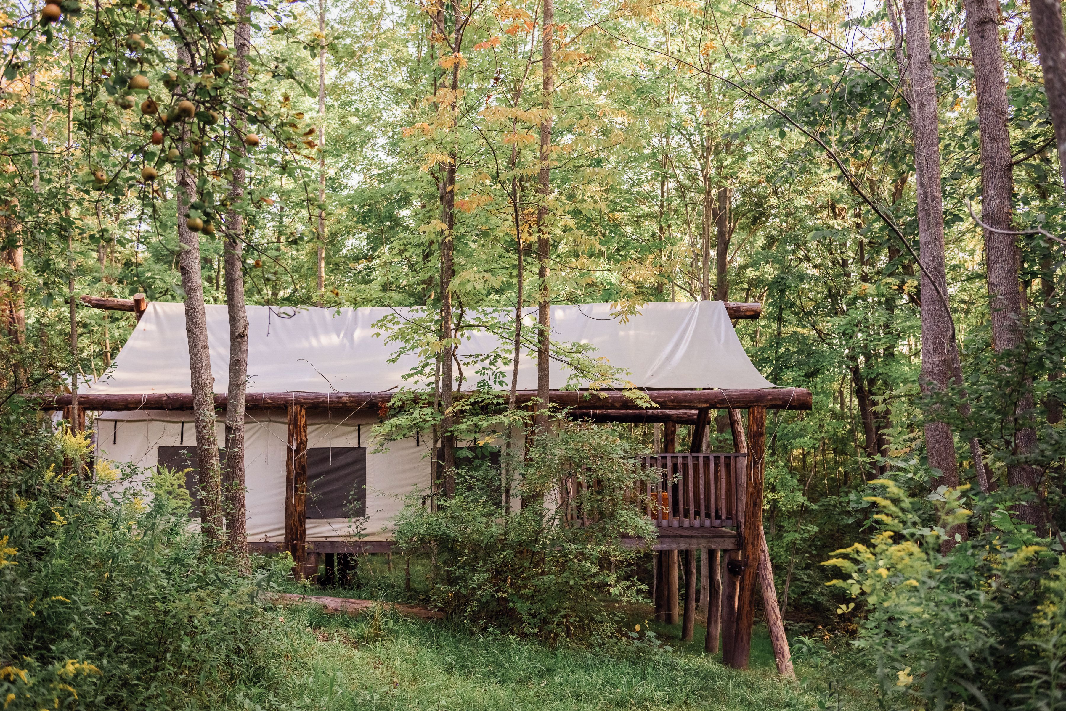 A rustic cabin with a wooden deck, surrounded by dense forest.