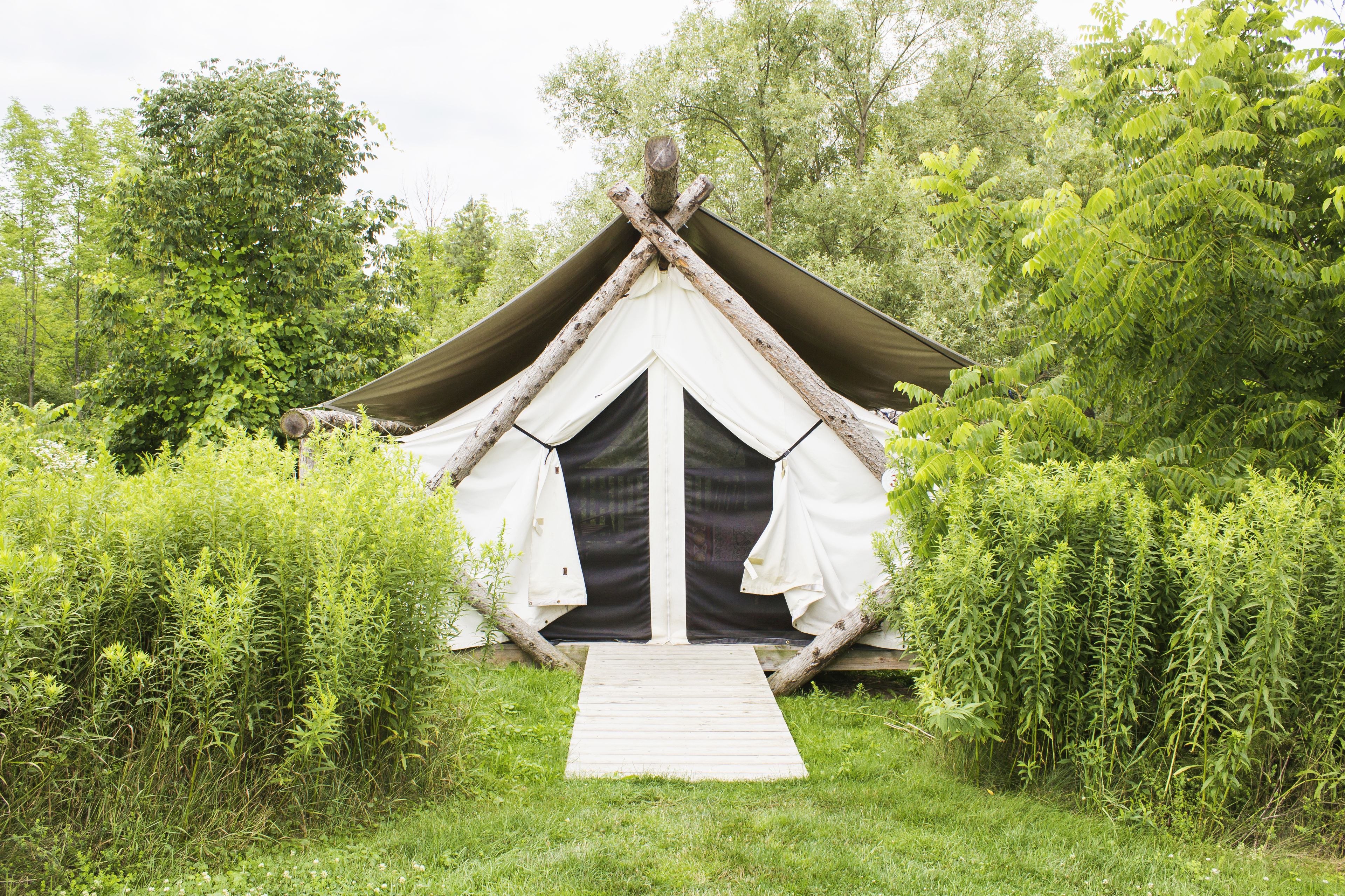 A tent with a wooden entrance and a small wooden platform leading up to it, surrounded by dense greenery.
