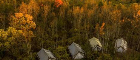 An aerial view of a forest with several tents.