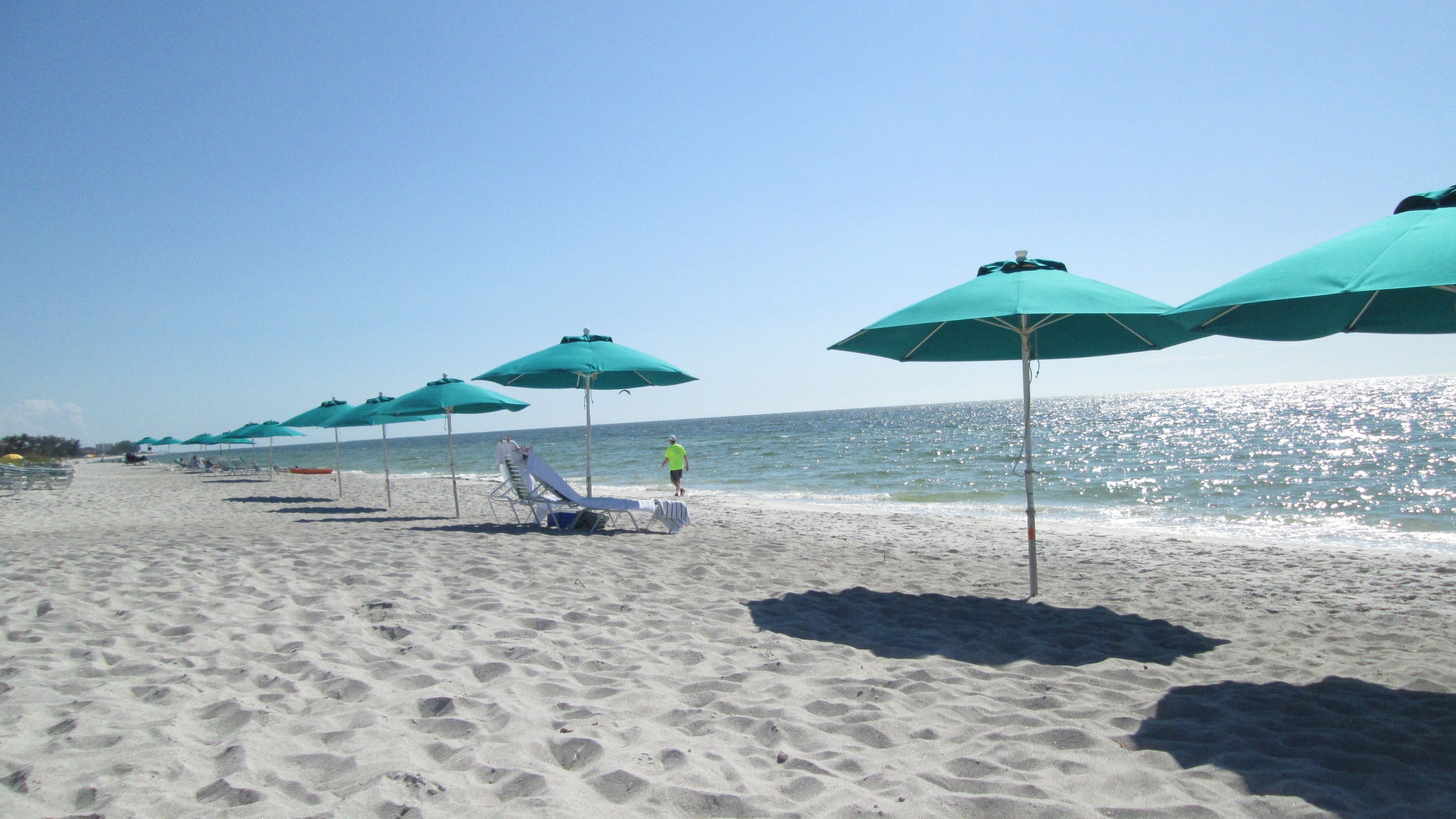 A beach with rows of blue umbrellas and beach chairs.