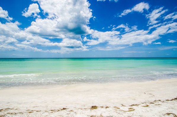 On the beach, white sand, sun loungers, beach umbrellas - Casa Del Mar Longboat Key (Longboat Key)