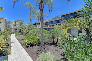 Courtyard - Casa Del Mar Longboat Key (Longboat Key)