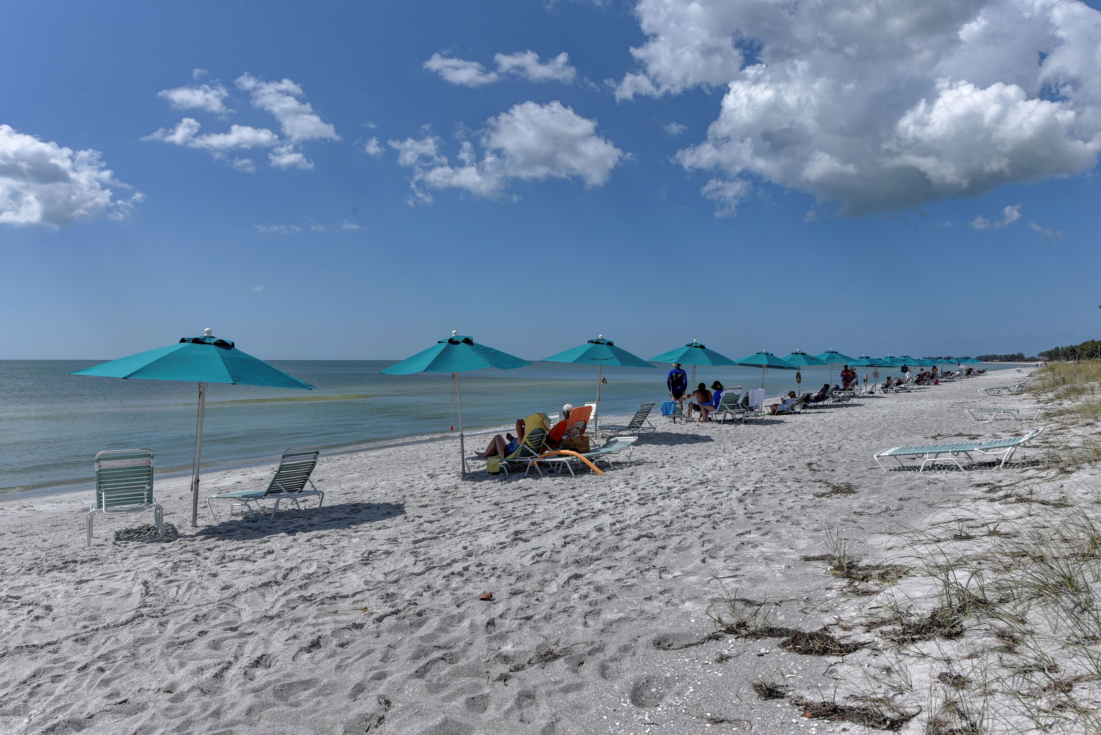 A beach with rows of turquoise umbrellas and beach chairs.