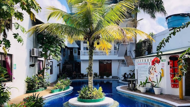 A pool area with a palm tree, surrounded by potted plants and a mural. - Hotel Yurupary (Leticia)