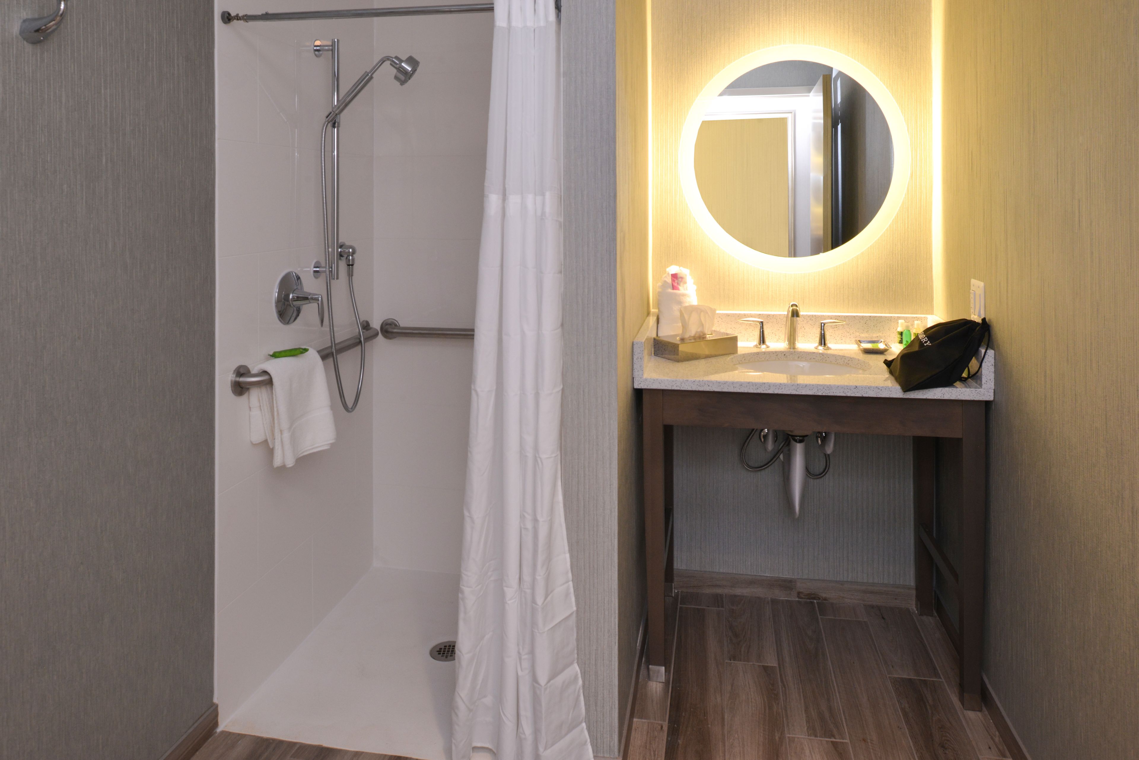 room, 1 king bed with sofa bed, accessible | bathroom | shower, free toiletries, hair dryer, bathrobes