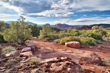Courtyard by Marriott Sedona - Image 57