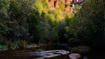 Un río que refleja formaciones rocosas y árboles.