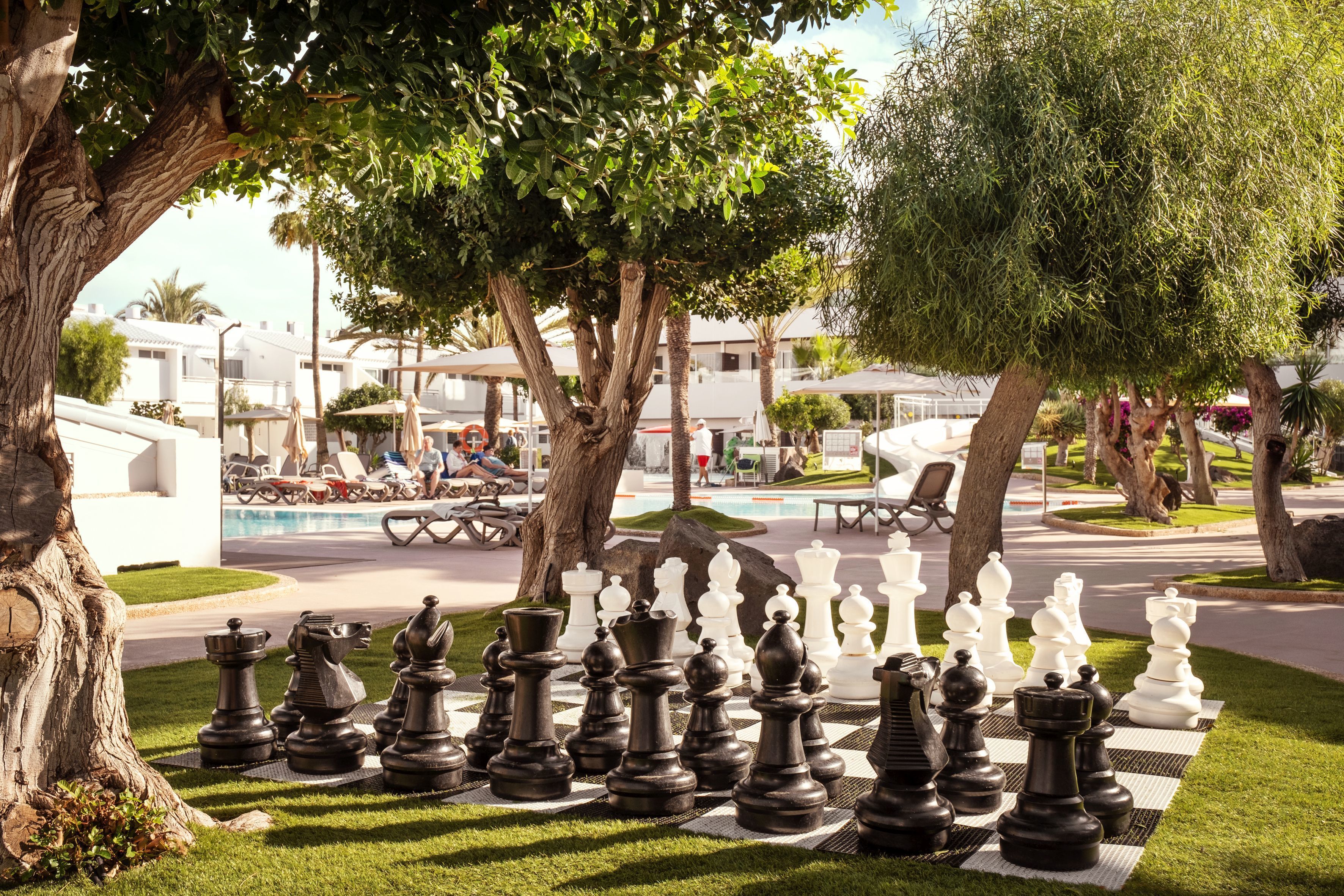 A large outdoor chessboard set up on a grassy area with trees in the background.