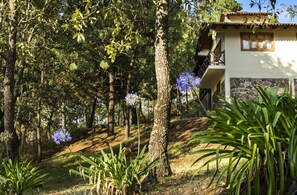 Exterior detail - Cabana Le Chalet (Mazamitla)