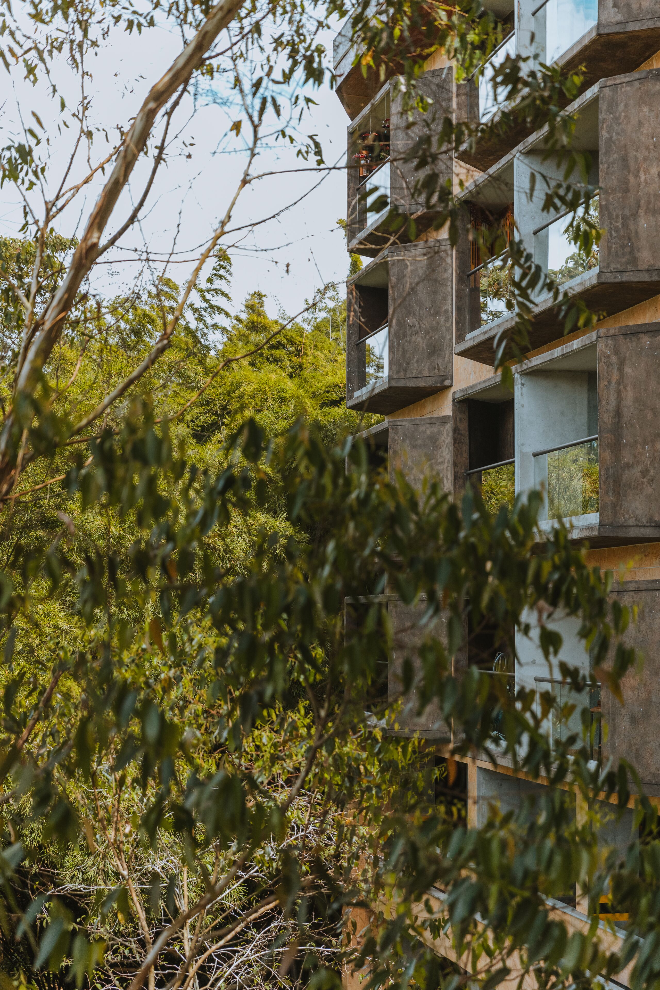 Un immeuble à plusieurs étages doté de balcons, entouré d’une végétation luxuriante.