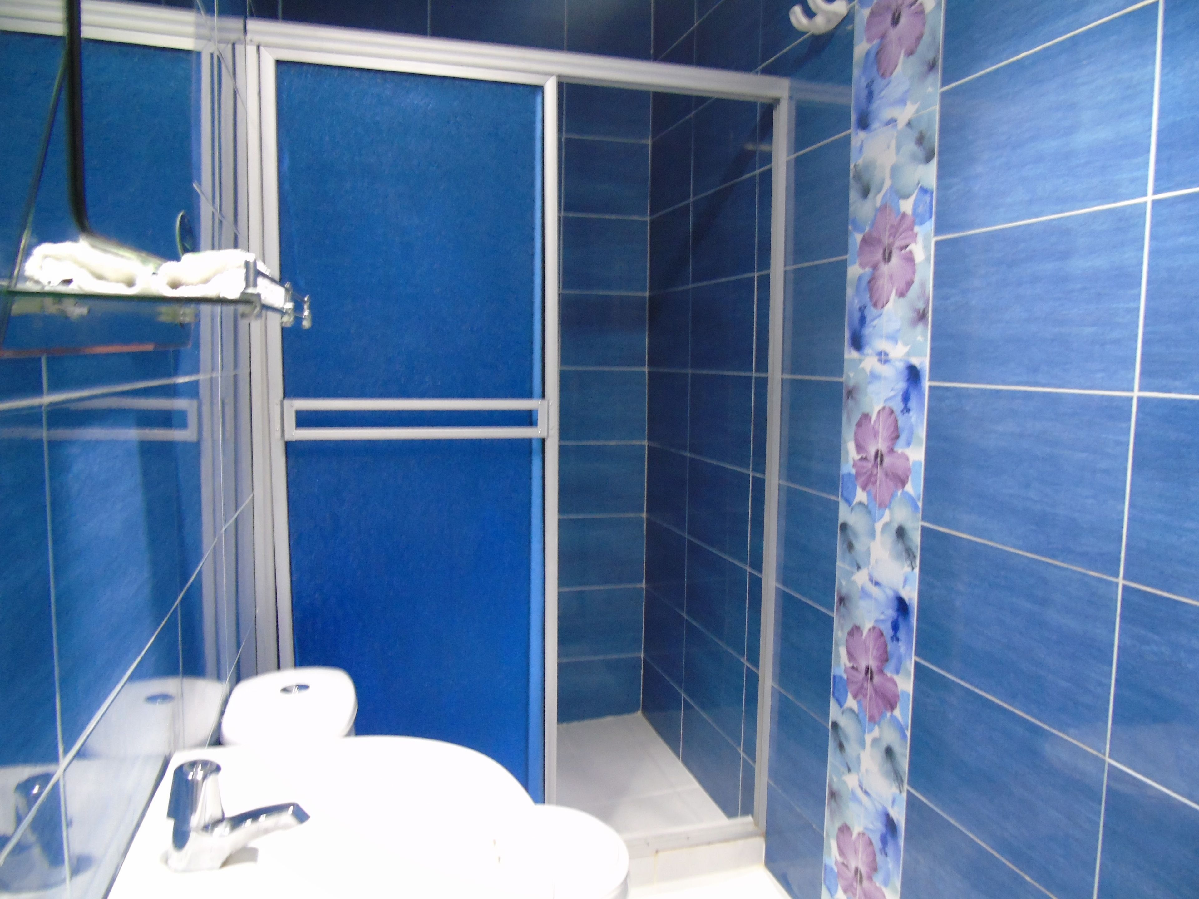 A bathroom with blue tiles, a shower area, and a toilet.