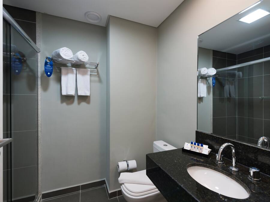 A modern bathroom with a glass shower enclosure, a white toilet, a black granite sink, and a large mirror.