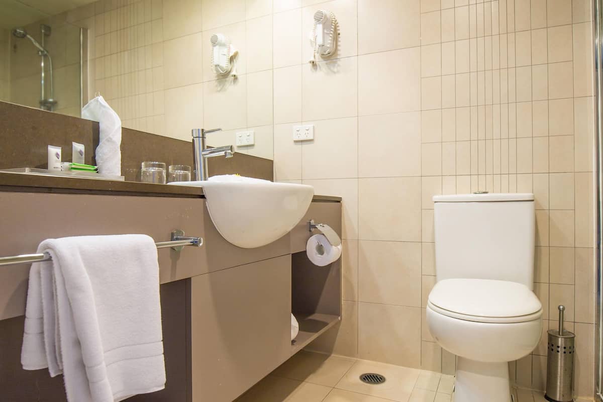 executive room | bathroom shower