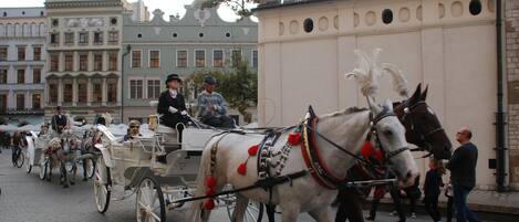 A horse-drawn carriage on a cobblestone street.