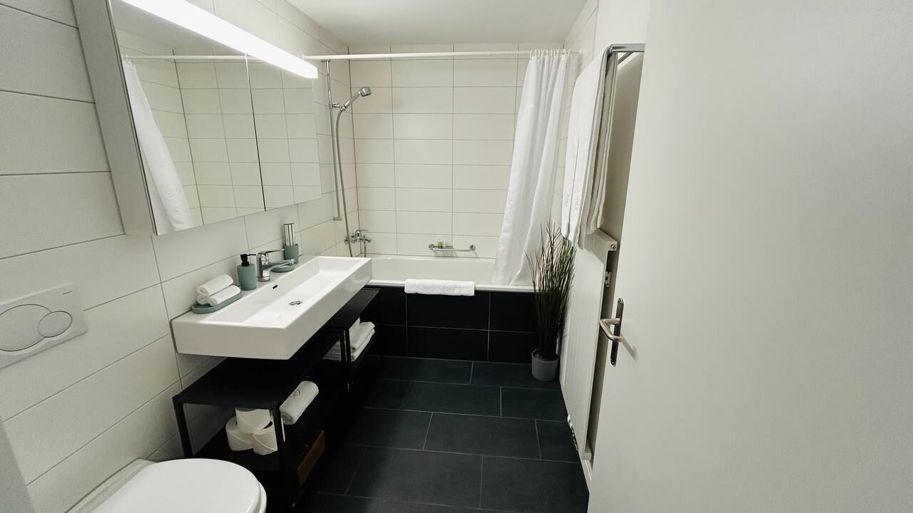 Apartment, 1 Bedroom | Bathroom | Free toiletries, hair dryer, towels, shampoo