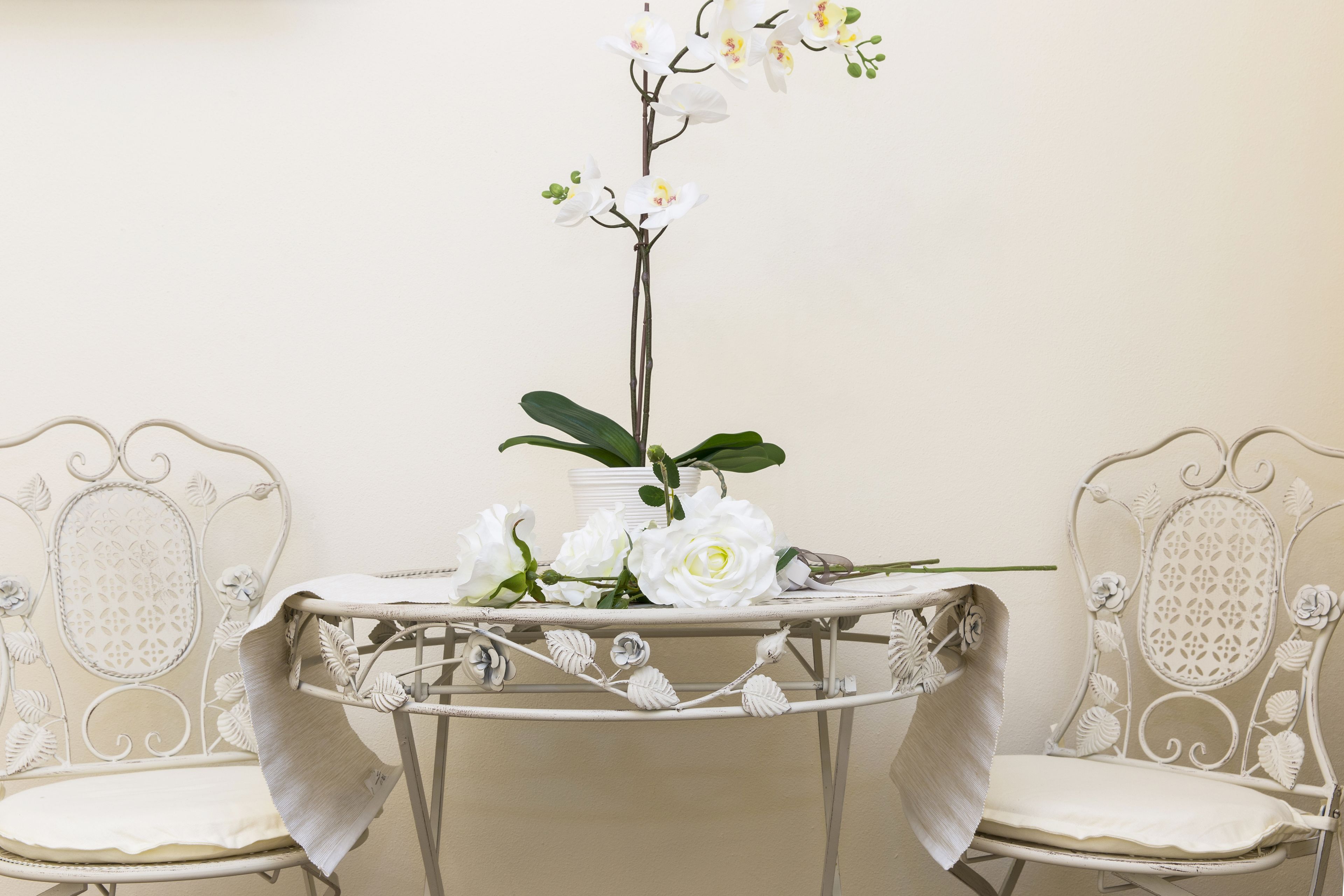 Photo - Sweet Dreams