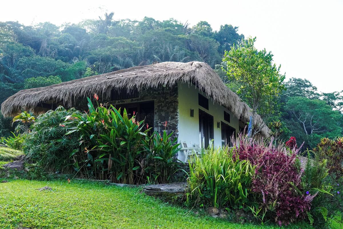 Una cabaña con techo de paja y pared de piedra, rodeada de abundante vegetación y plantas tropicales.