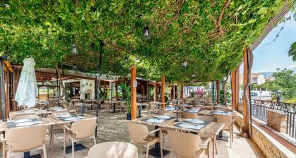 Hostal y Apartamento Rural Los Naranjos