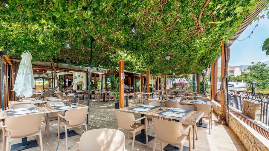 Hostal y Apartamento Rural Los Naranjos