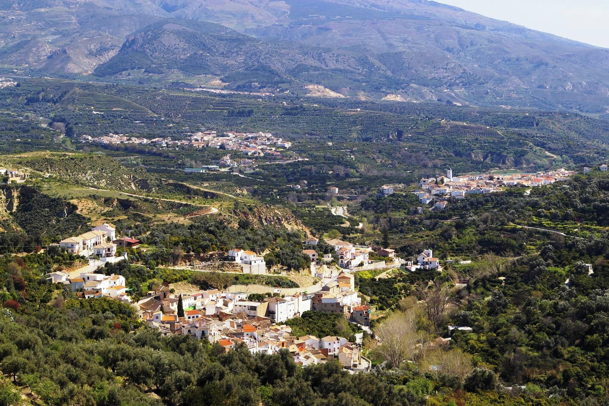 Foto - Hostal y Apartamento Rural Los Naranjos