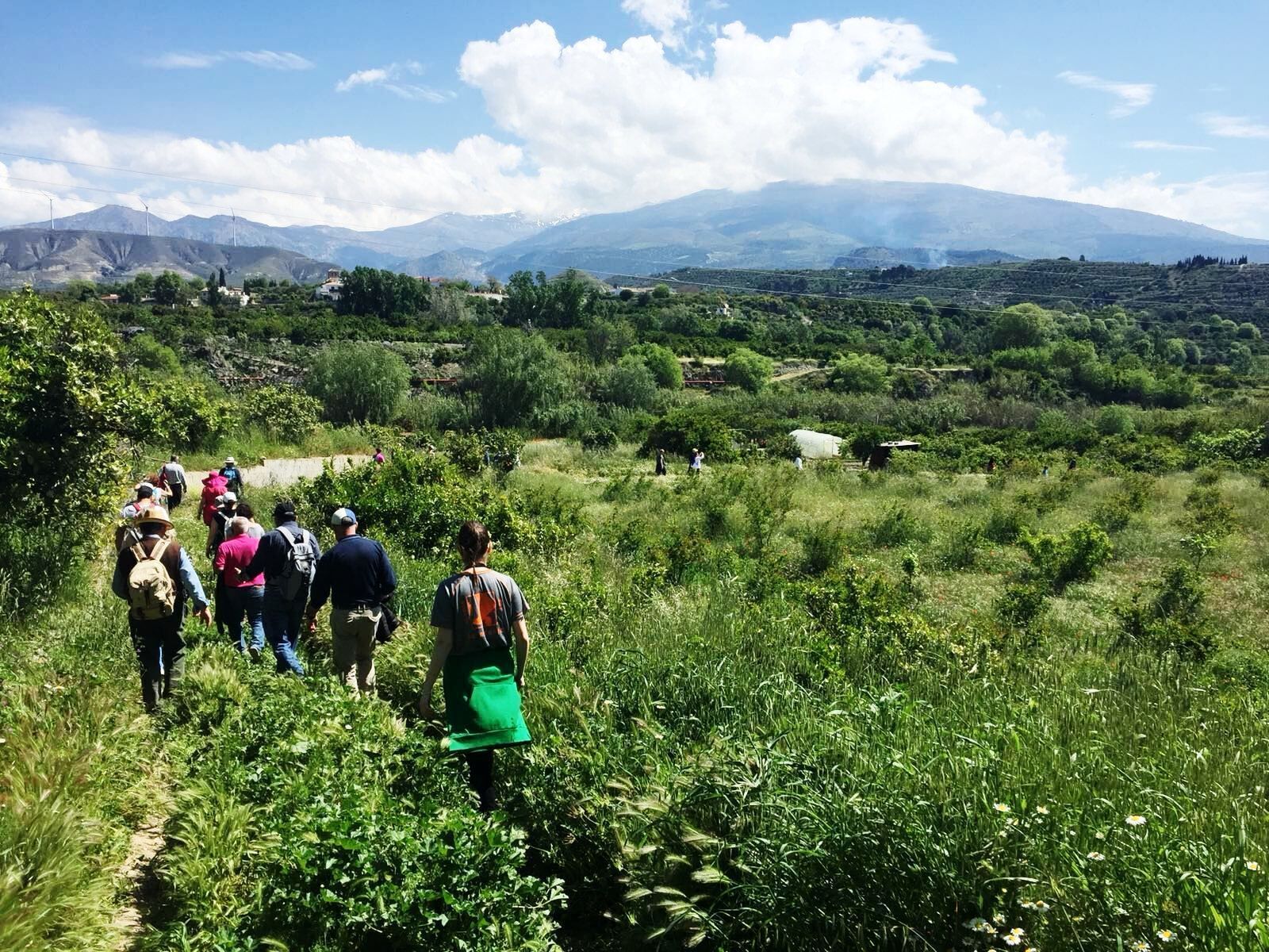 Foto - Hostal y Apartamento Rural Los Naranjos