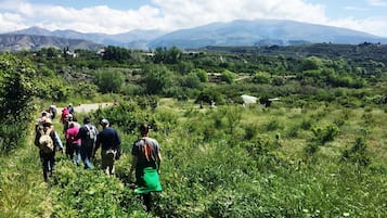 Eine Gruppe von Wanderern auf einem Pfad, umgeben von üppiger Vegetation und Bergen im Hintergrund.