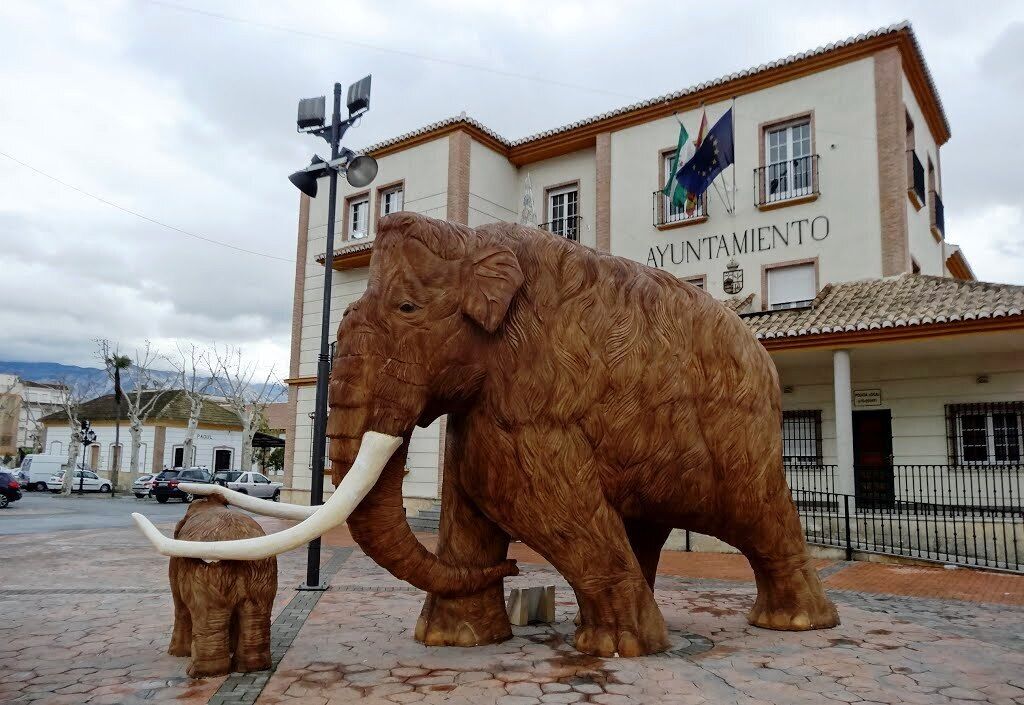 Foto - Hostal y Apartamento Rural Los Naranjos