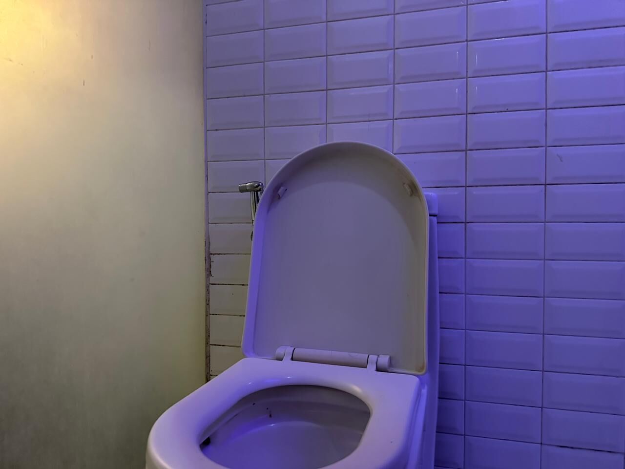 Eine Toilette mit geschlossenem Deckel in einem Badezimmer mit violetten Fliesen.