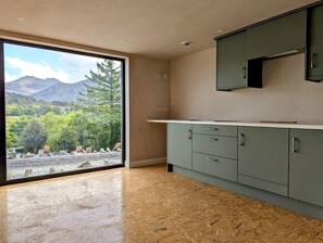 Full-sized fridge, microwave, oven, electric kettle