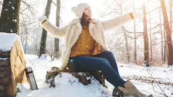 เดินป่า