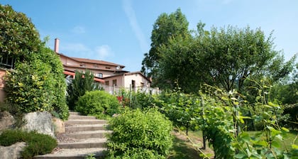HĂŽtel le Bel'vue