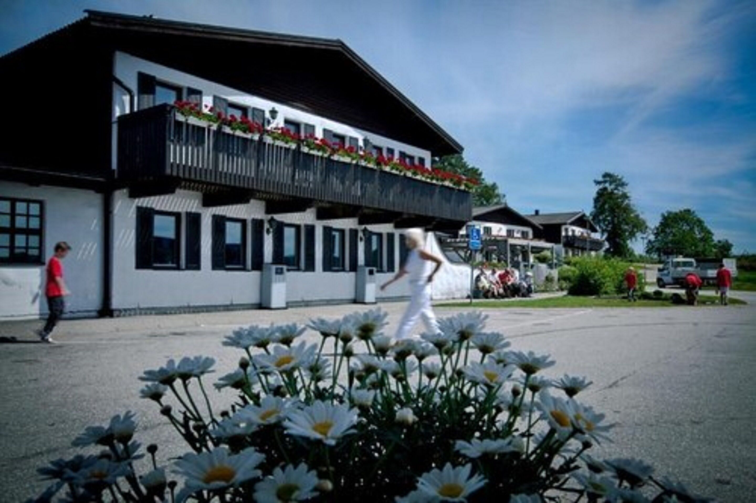 A building with a balcony adorned with flowers, a parking area, and a garden with daisies.