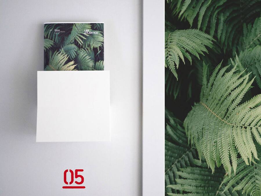 A book titled 'LAR ATLANTICA' on a white background with a fern leaf pattern, and a number '05' below.