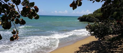 Beach nearby, beach shuttle