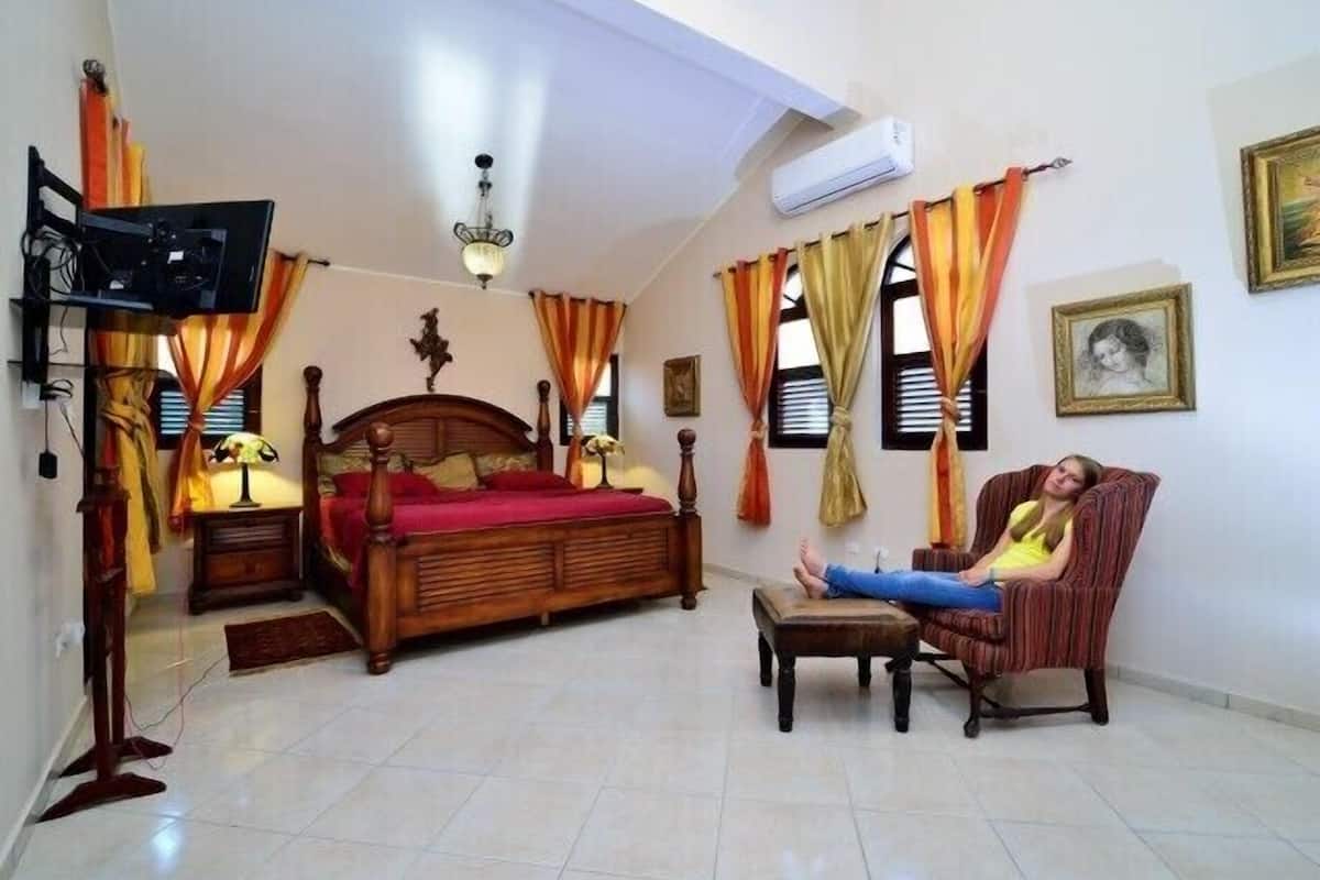 Une chambre à coucher avec un lit, une télévision, une chaise et des rideaux.