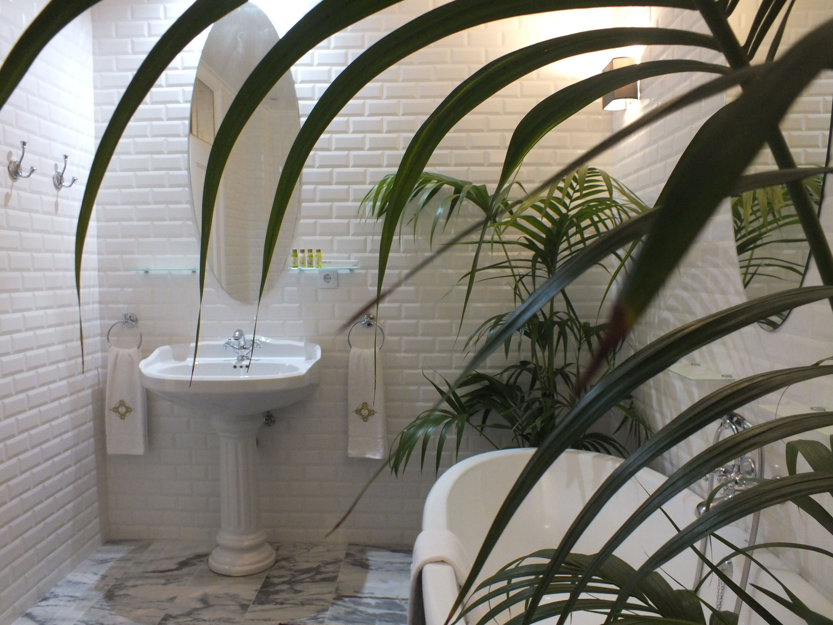 Een badkamer met een wit zuilwastafeltje, een spiegel en een witte badkuip. Er staan planten en toiletartikelen op de planken.