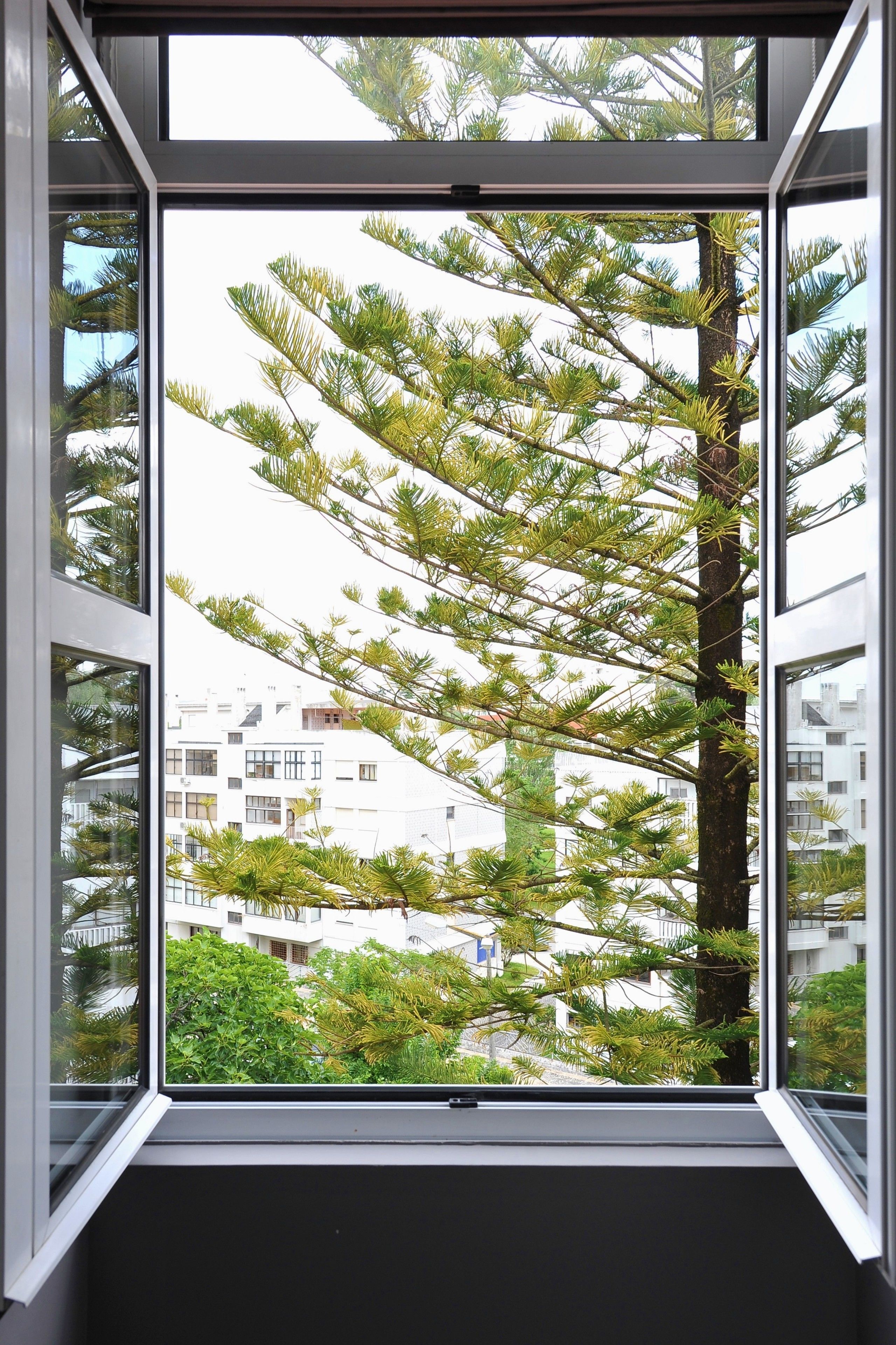 Minibar, in-room safe, blackout curtains, free WiFi