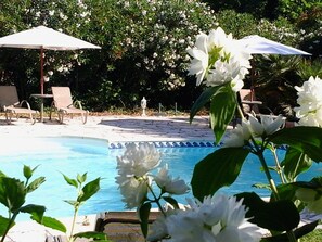 Una piscina con sillones de descanso y sombrillas, rodeada de exuberante vegetación y flores blancas.