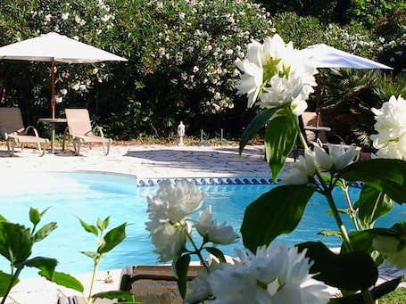 Una piscina al aire libre, sillones reclinables de piscina