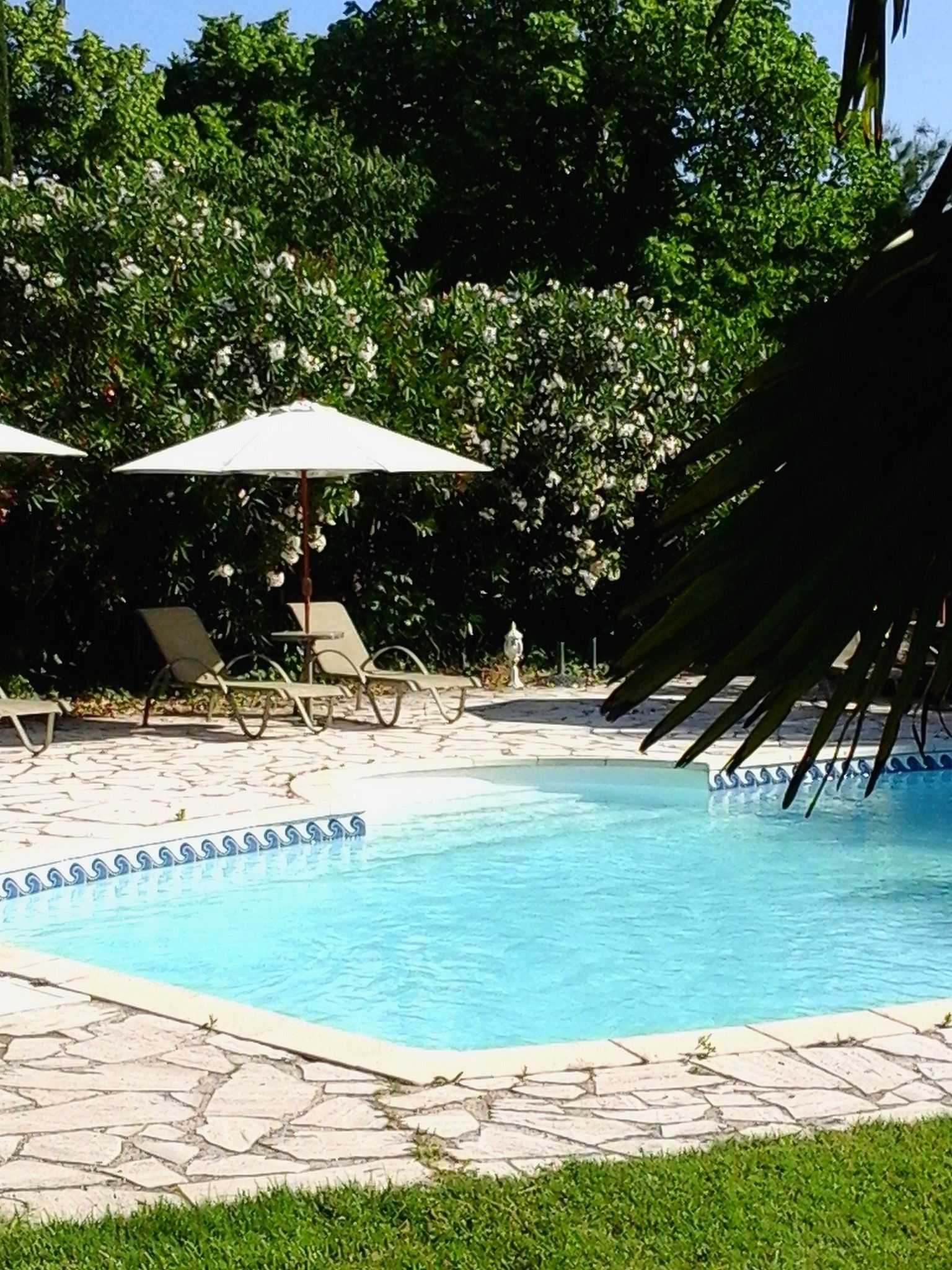 outdoor pool, pool loungers