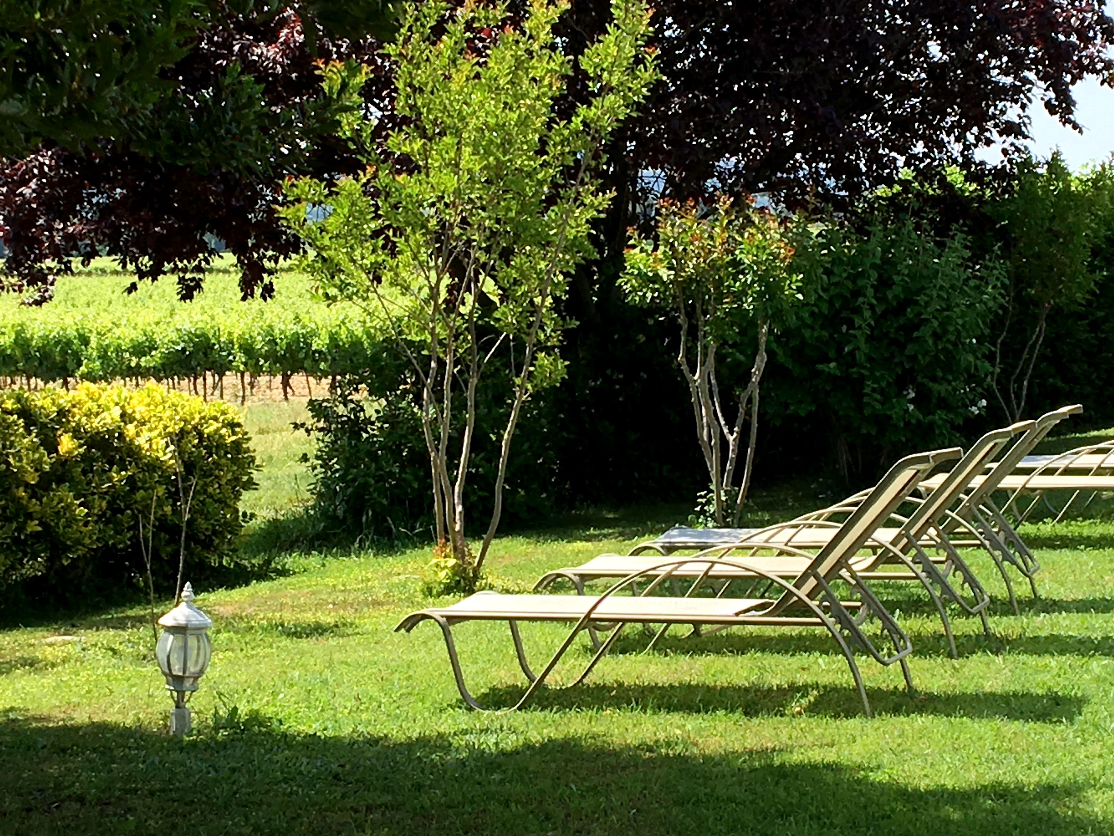 A row of metal lounge chairs in a grassy outdoor area with a small lamp post.