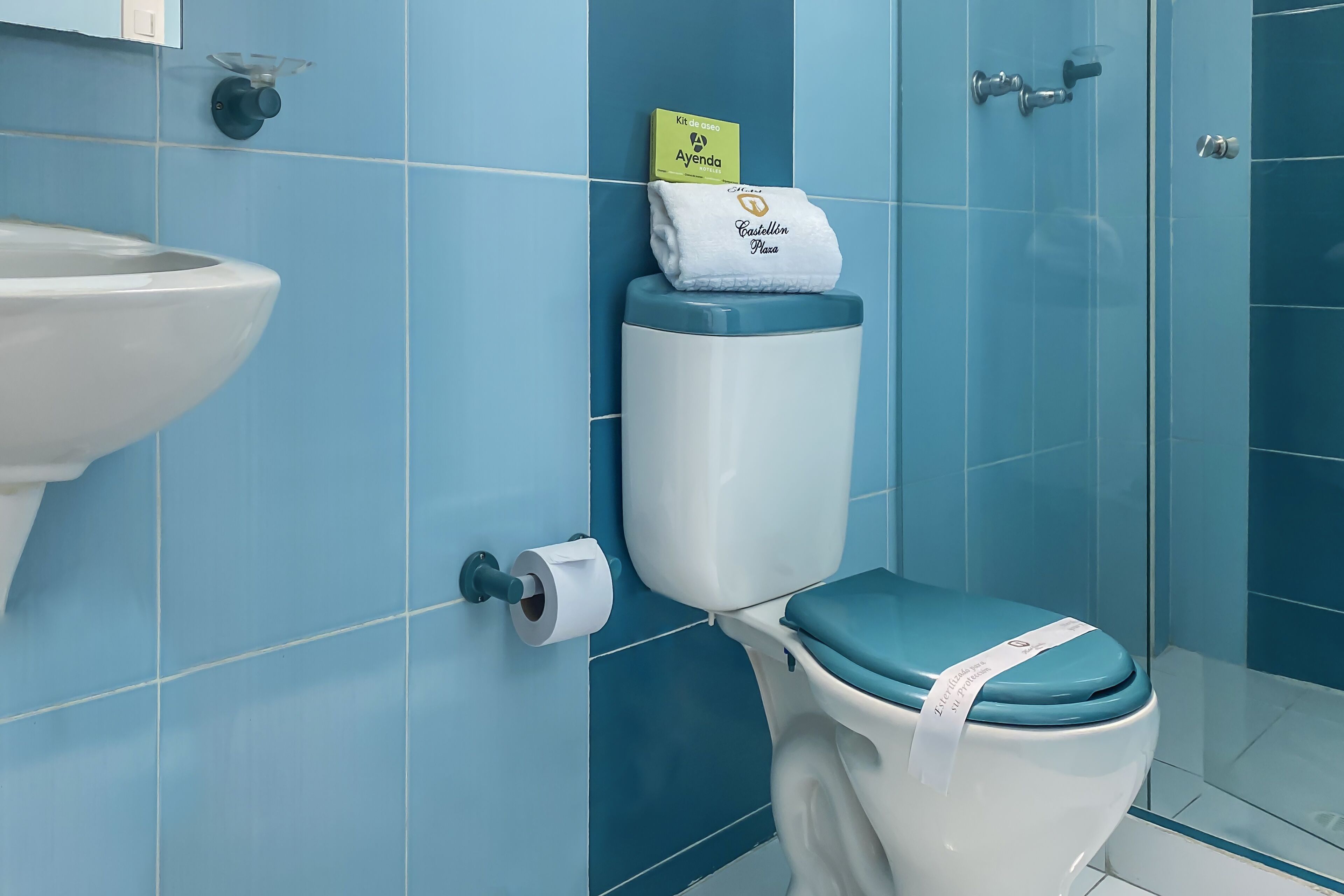 shower, bidet, towels