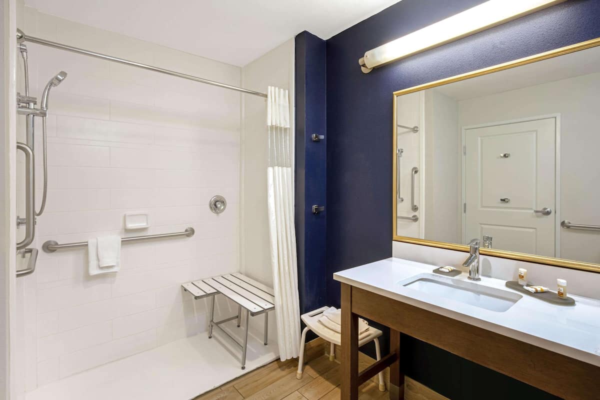 combined shower/bathtub, free toiletries, hair dryer, towels