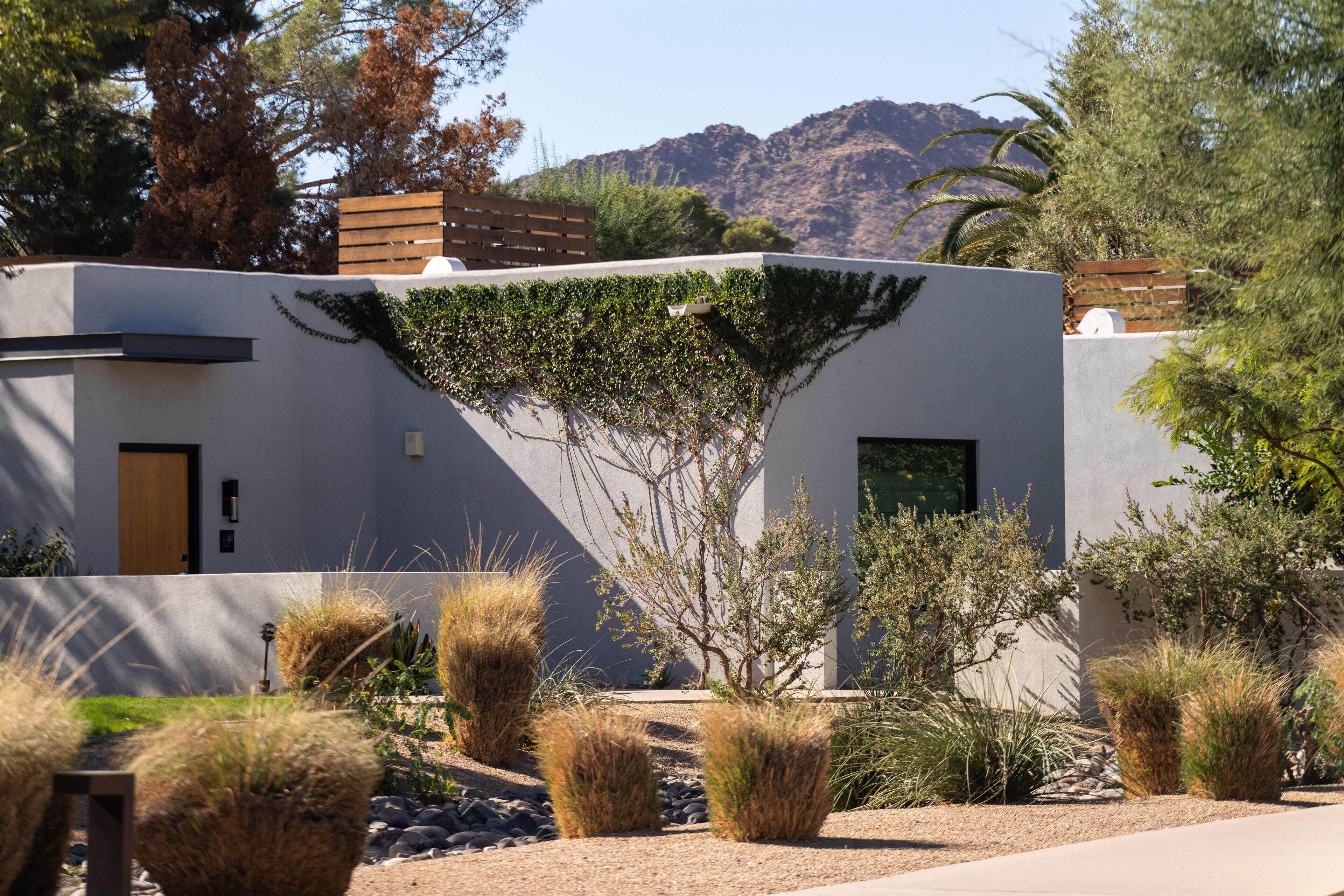 A modern building with a flat roof, a wooden deck, and a garden with various plants and shrubs.