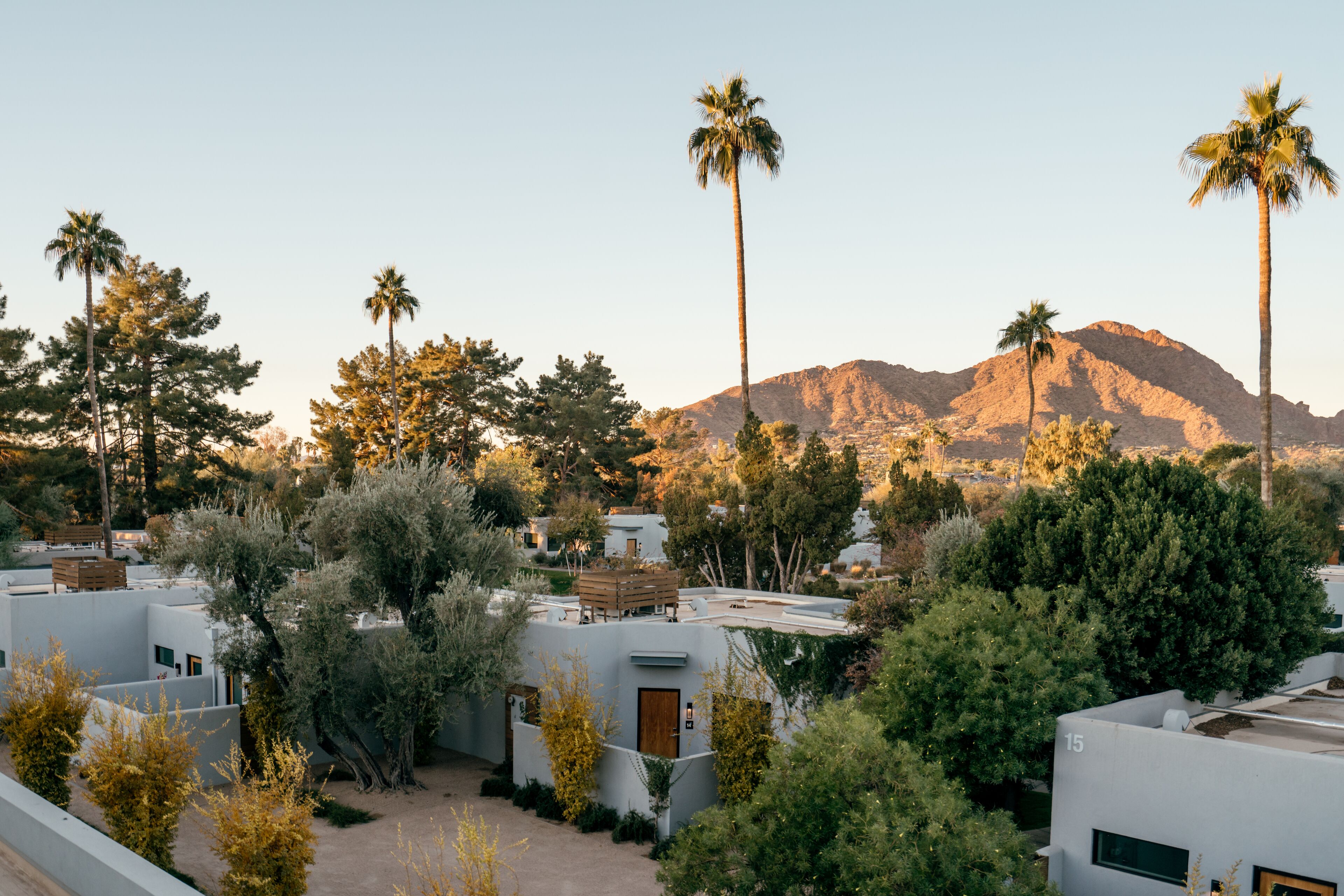 A residential area with modern buildings, palm trees, and a mountain in the background.